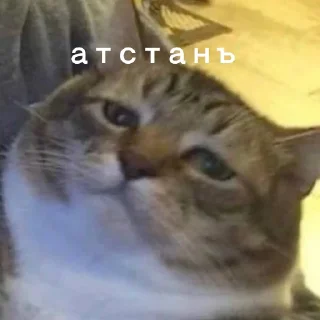 😞 emoji Юра лох Telegram sticker 9 of 45