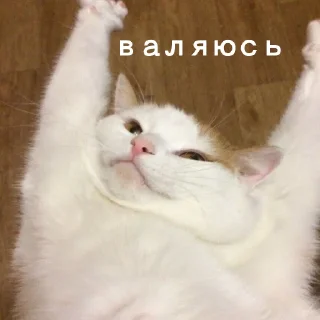 🫠 emoji Юра лох Telegram sticker 17 of 45