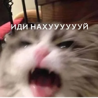 🤬 emoji Юра лох Telegram sticker 3 of 45