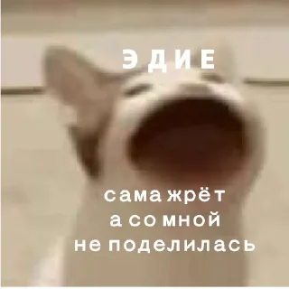 😭 emoji Юра лох Telegram sticker 2 of 45