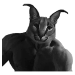 💪 emoji Pon naxui Telegram sticker 16 of 43