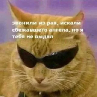 😎 emoji memes Telegram sticker 12 of 75