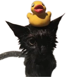 🐦 emoji Милашки Telegram sticker 21 of 34