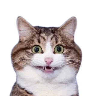 Sticker from Милашки