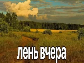 Sticker from @dfkdfddk даун