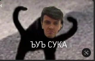 Sticker from Импровизация😎