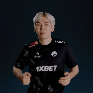 Sticker from Team Spirit Dota2