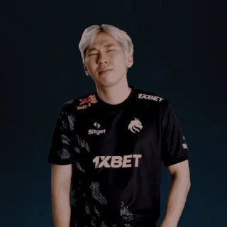 Sticker from Team Spirit Dota2