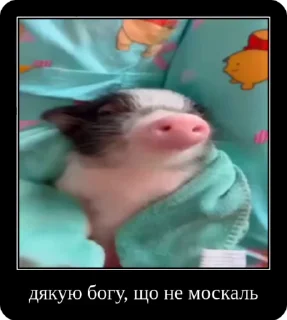 😎 emoji Колапс модерну @solovyy Telegram sticker 10 of 50