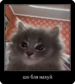 ☺️ emoji Колапс модерну @solovyy Telegram sticker 6 of 50