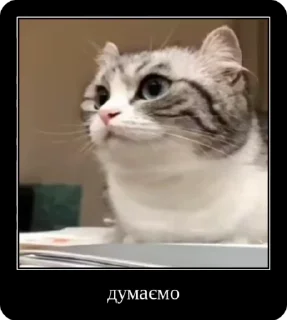 🤔 emoji Колапс модерну @solovyy Telegram sticker 21 of 50