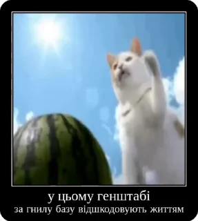 😈 emoji Колапс модерну @solovyy Telegram sticker 16 of 50