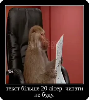 🤓 emoji Колапс модерну @solovyy Telegram sticker 23 of 50