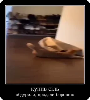 Sticker from Сольовик і неформали @solovyy