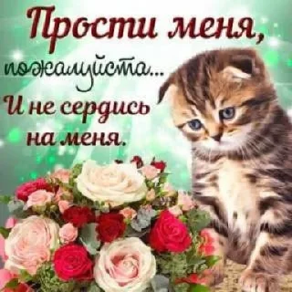 🙏 emoji сочные киски Telegram sticker 18 of 69