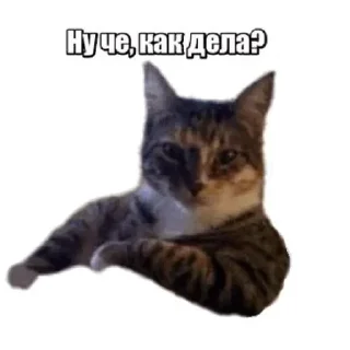 🌟 emoji Больше стикеров 👉🏻 @stickertg4 Telegram sticker 9 of 42