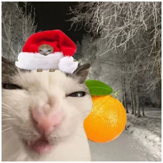 😗 emoji 🎄☃️новый год☃️🎄 (@emopix) Telegram sticker 5 of 11