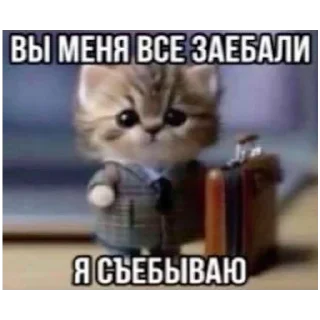 Sticker from злые коты