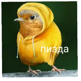 Sticker from кукушка ты где