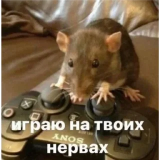 🙂 emoji Больше стикеров тут: @stikery_emodzi_memy Telegram sticker 24 of 30