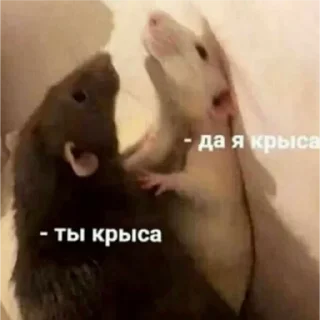 🙂 emoji Больше стикеров тут: @stikery_emodzi_memy Telegram sticker 4 of 30
