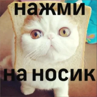💕 emoji @ukr4an 🇺🇦 Telegram sticker 11 of 11