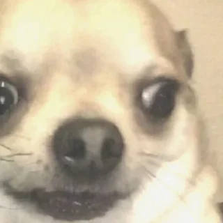 🟡 emoji ыыыыыыыыыыыыыыыыыыы Telegram sticker 5 of 49