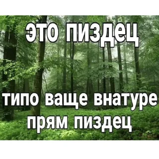 Sticker from Пздц.