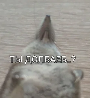 🌟 emoji Борис Лов Telegram sticker 22 of 25