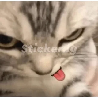😋 emoji Кукушка Telegram sticker 11 of 28