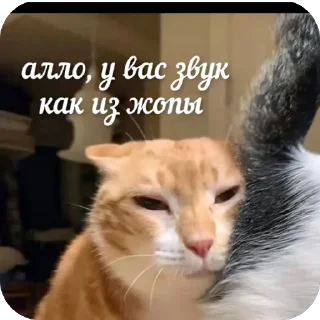 🫥 emoji Без слов Telegram sticker 11 of 54