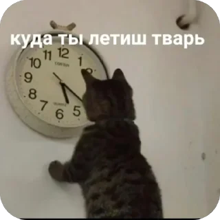 🫥 emoji Без слов Telegram sticker 20 of 54