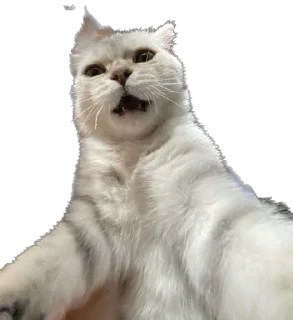 😤 emoji чизкейк Telegram sticker 8 of 71
