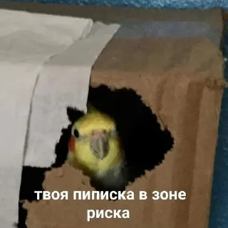 Sticker from что то милое