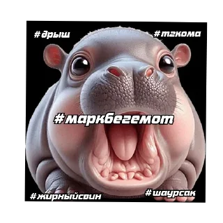 👄 emoji Бегемот сквад Telegram sticker 22 of 22