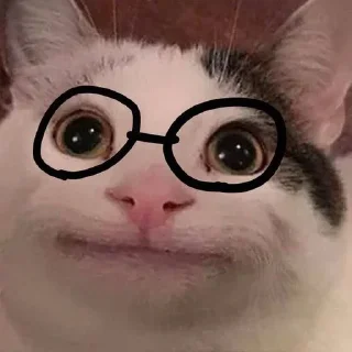 🐱 emoji Вот и всё… Неплохая получилась история. Telegram sticker 23 of 36