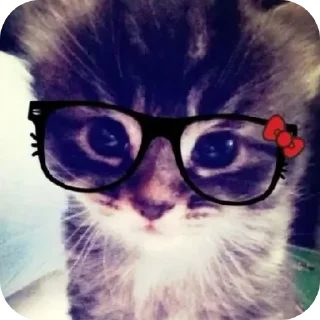 Sticker from Kitty