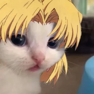 🌟 emoji Котики Telegram sticker 4 of 15