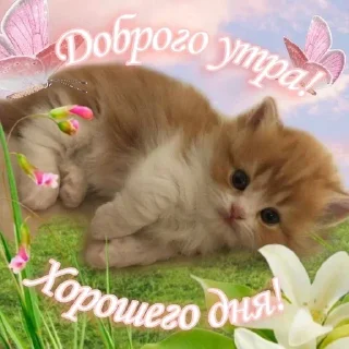 Sticker from геньг бенгь