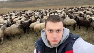 🐏 emoji Нека л а а а а а а й Telegram sticker 18 of 39