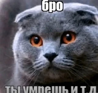 🌟 emoji тик ток Telegram sticker 18 of 120