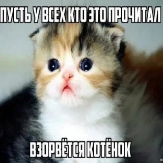 😝 emoji \‹\»ll€^°4|<@ Telegram sticker 24 of 30