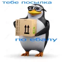 😡 emoji Пингвин Telegram sticker 16 of 43