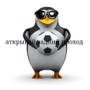 😡 emoji Пингвин Telegram sticker 18 of 43