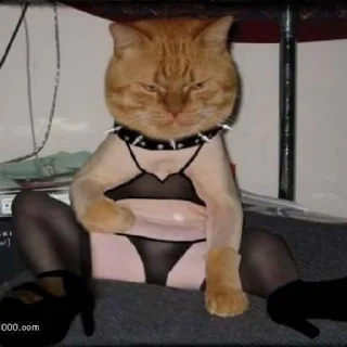 🖕 emoji ТрЭш🤡 Telegram sticker 21 of 27