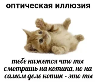 😼 emoji бамс Telegram sticker 12 of 20