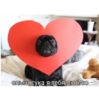 Sticker from поНОс