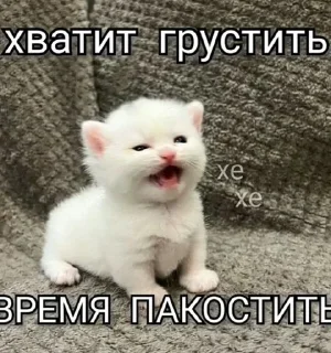 🌟 emoji Заебавшиеся коты 2 Telegram sticker 23 of 120