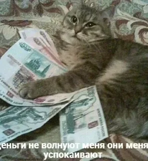 🌟 emoji Заебавшиеся коты 2 Telegram sticker 6 of 120