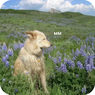 🥰 emoji свэг в массы by @swagakat Telegram sticker 23 of 88